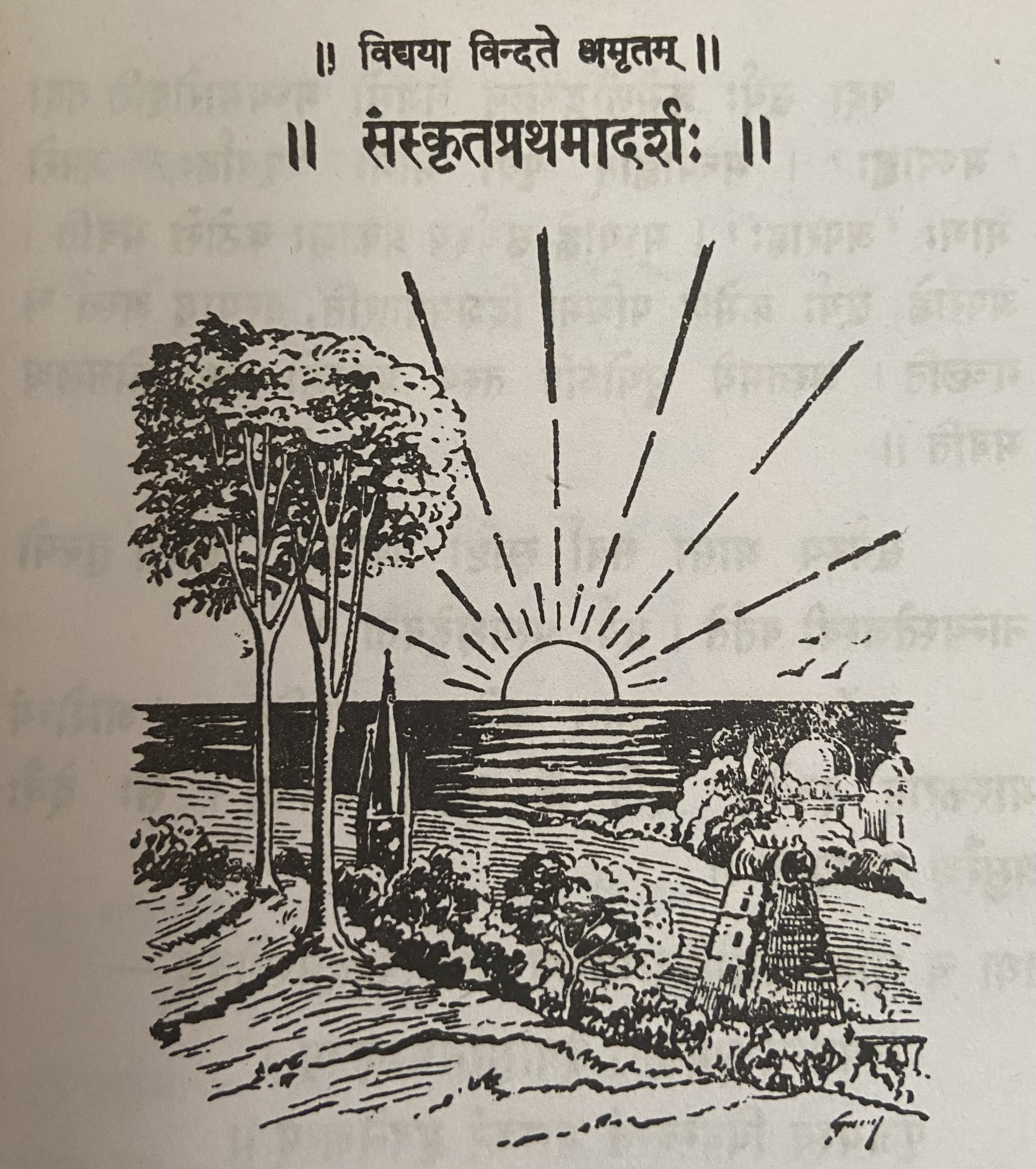 Picture of the Sun