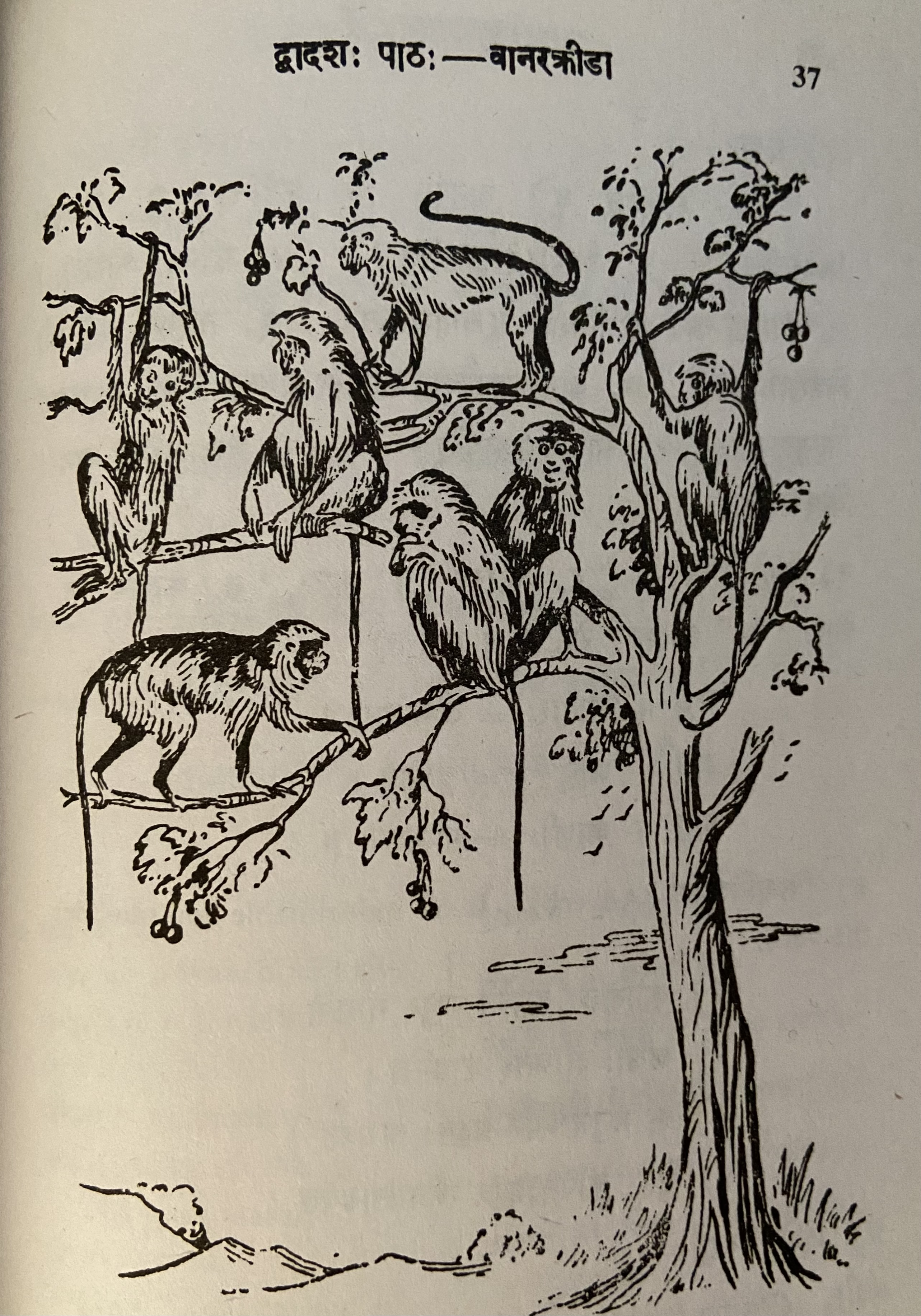 Bird picture
