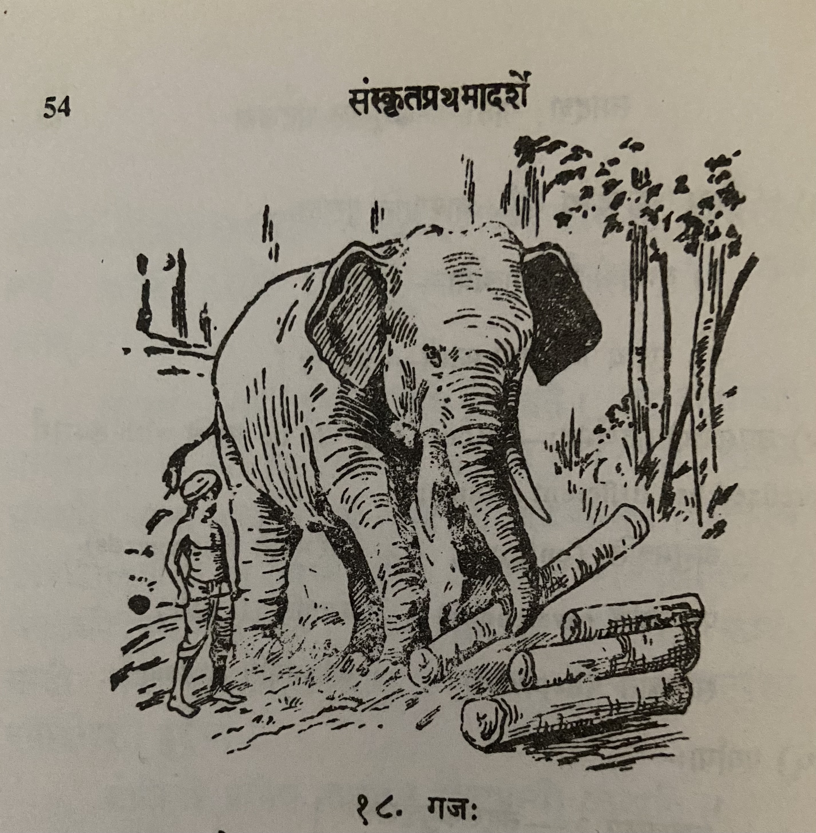 picture of an elephant moving logs and a mahout