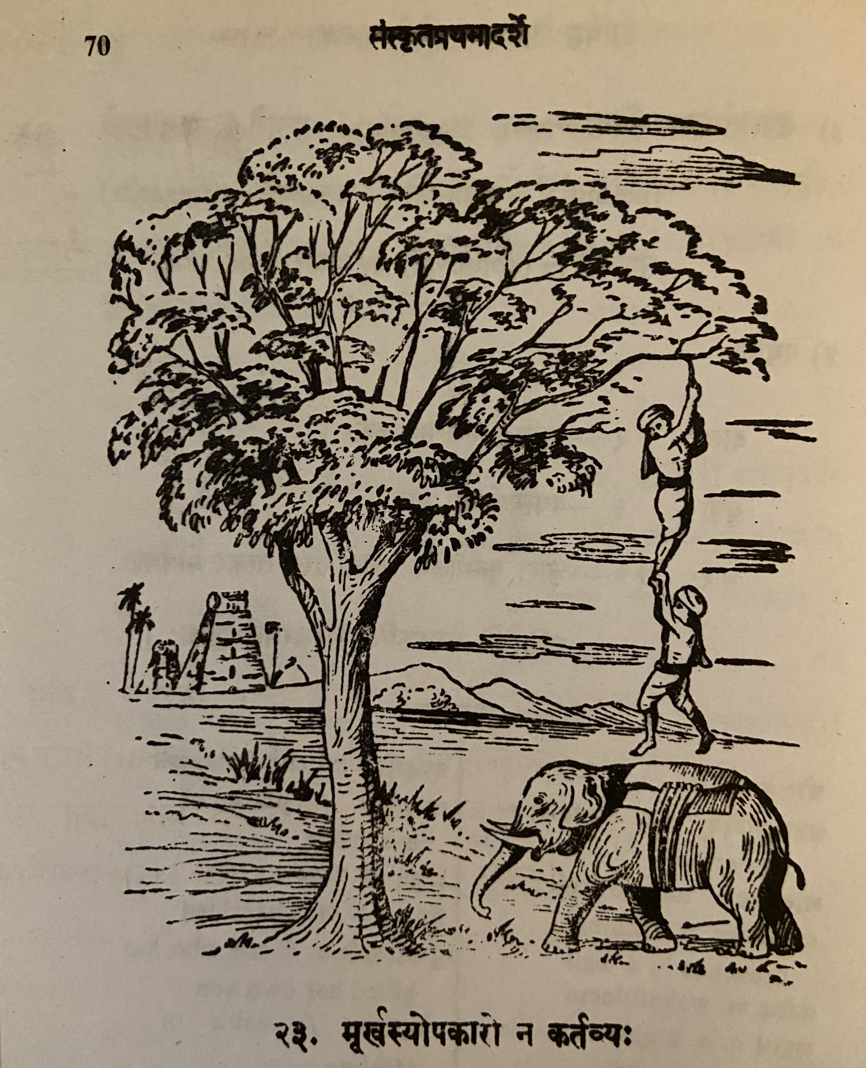 picture of tree, fool, mahout and elephant
