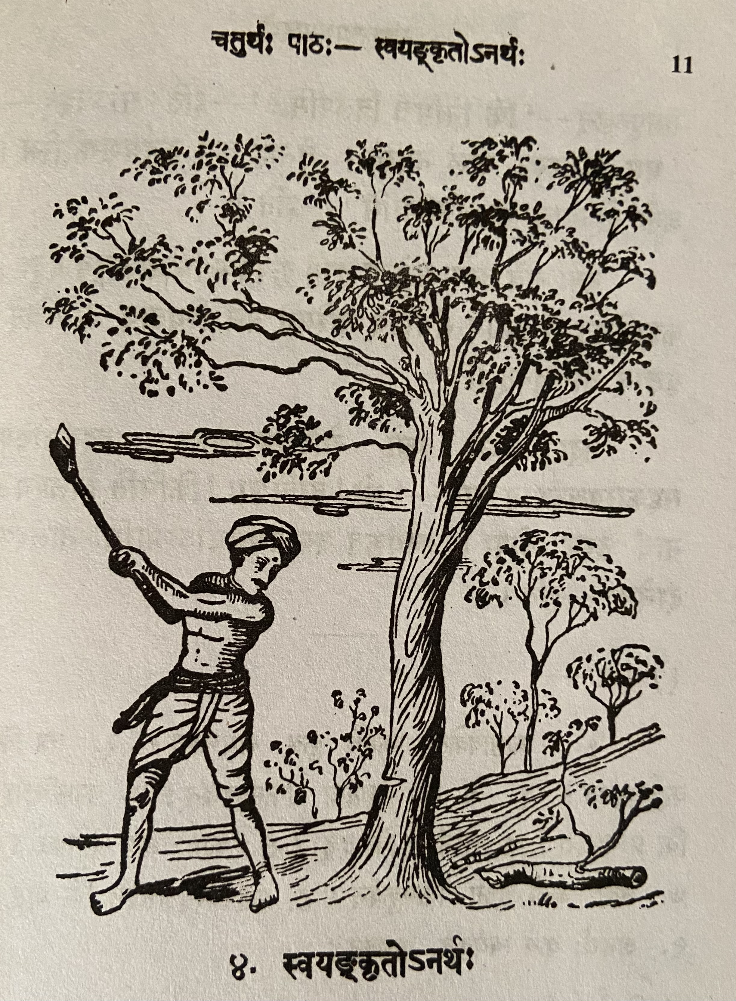 Man cutting tree in the forest
